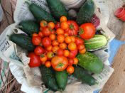 Year 5 outdoor learning