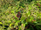 Year 5 Hard at work!