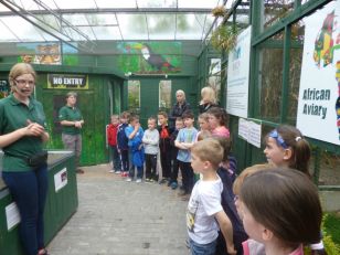 Year 3\'s visit to Tropical World